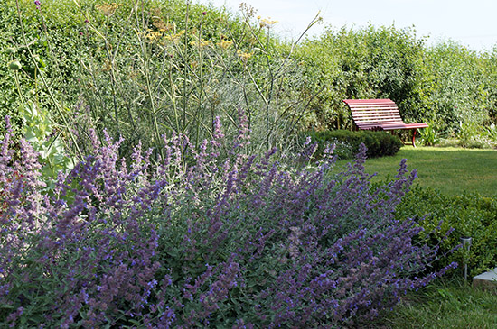 Sussex Seaside Garden