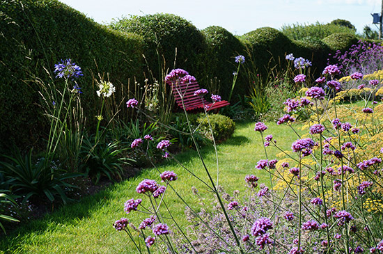 Sussex Seaside Garden