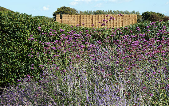 Sussex Seaside Garden