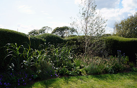 Sussex Seaside Garden