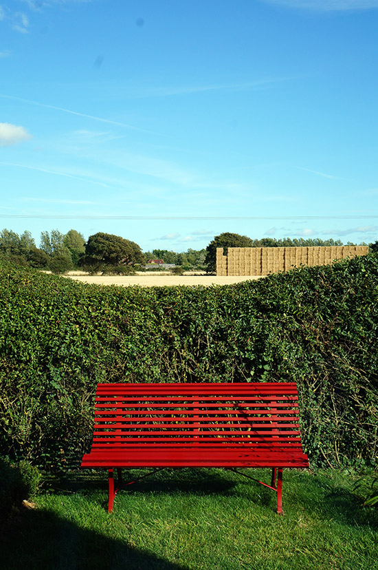 Sussex Seaside Garden