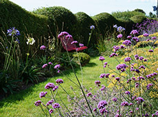 Sussex Seaside Garden